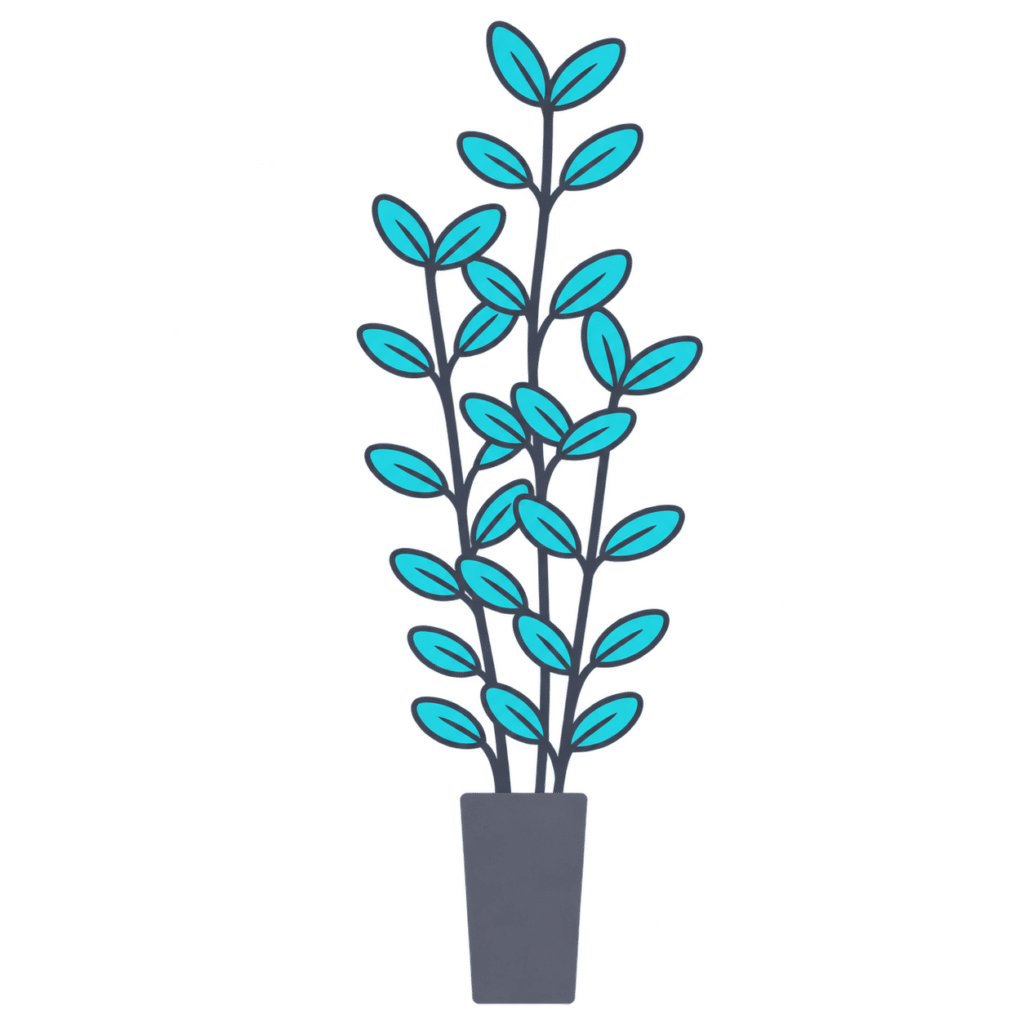 plant